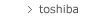 toshiba example